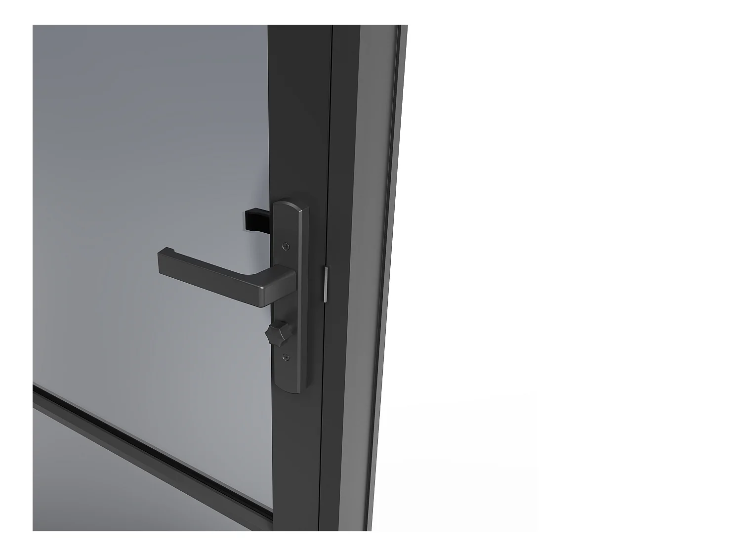 Porta de interior reversível em alumínio e vidro fumado A204 x C93 cm preto - MASERU