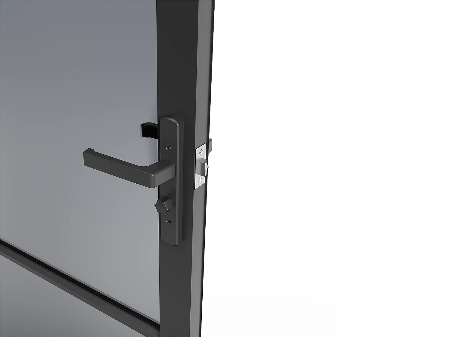 Bloc porte réversible en aluminium et verre trempé fumé - H204 x L93 cm - Noir - MASERU