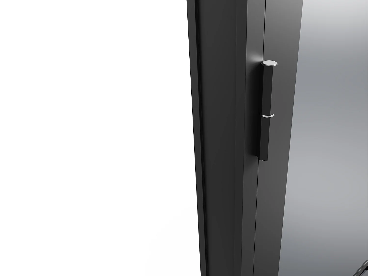 Drzwi kompletne dwustronne z aluminium i dymionego szkła hartowanego - wys. 204 x szer. 73 cm - Czarny - LOXTON