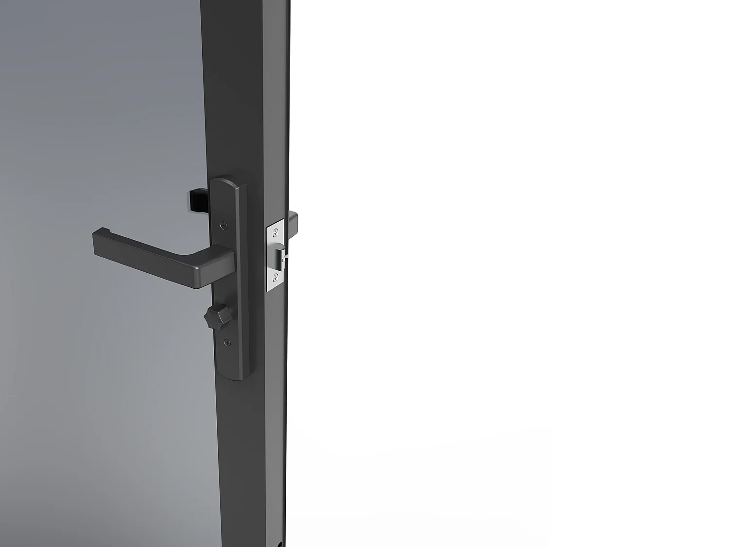 Drzwi kompletne dwustronne z aluminium i dymionego szkła hartowanego - wys. 204 x szer. 73 cm - Czarny - LOXTON