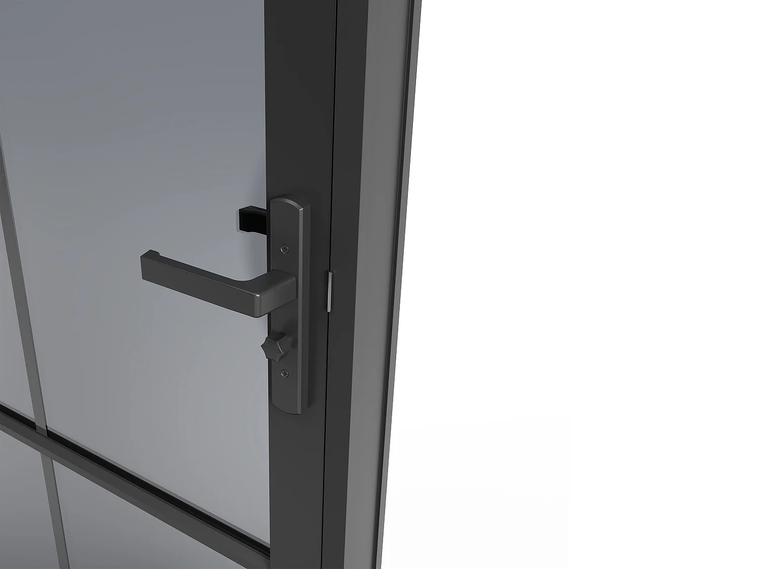 Drzwi kompletne dwustronne z aluminium i dymionego szkła hartowanego - wys. 204 x szer. 73 cm - Czarny - SEROTO