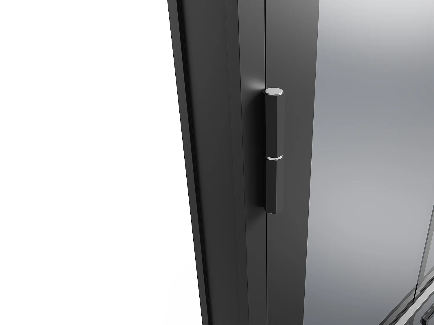 Drzwi kompletne dwustronne z aluminium i dymionego szkła hartowanego - wys. 204 x szer. 83 cm - Czarny - SEROTO