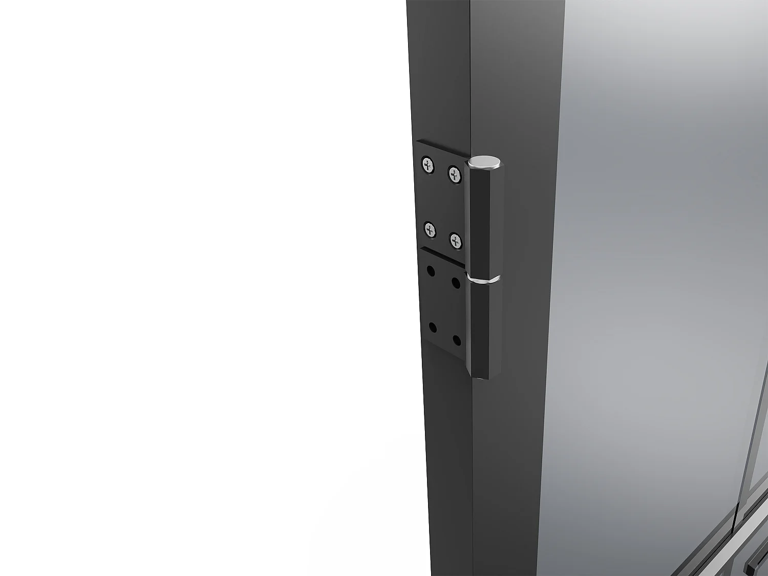 Drzwi kompletne dwustronne z aluminium i dymionego szkła hartowanego - wys. 204 x szer. 83 cm - Czarny - SEROTO