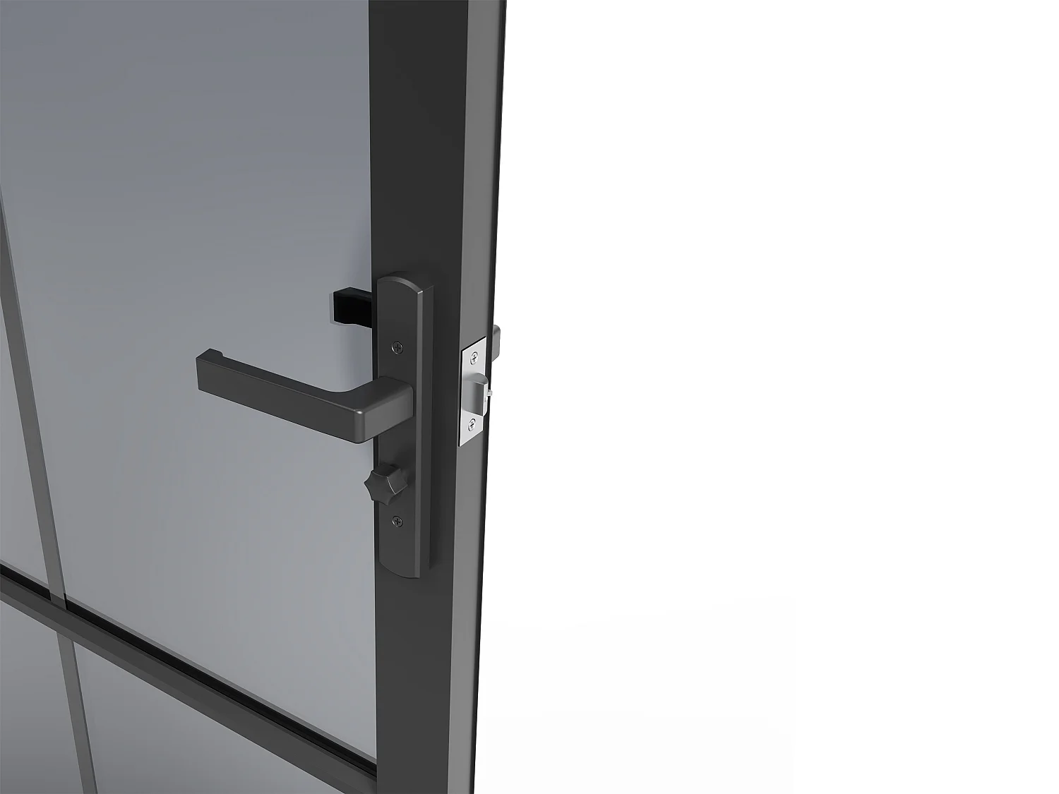 Drzwi kompletne dwustronne z aluminium i dymionego szkła hartowanego - wys. 204 x szer. 83 cm - Czarny - SEROTO