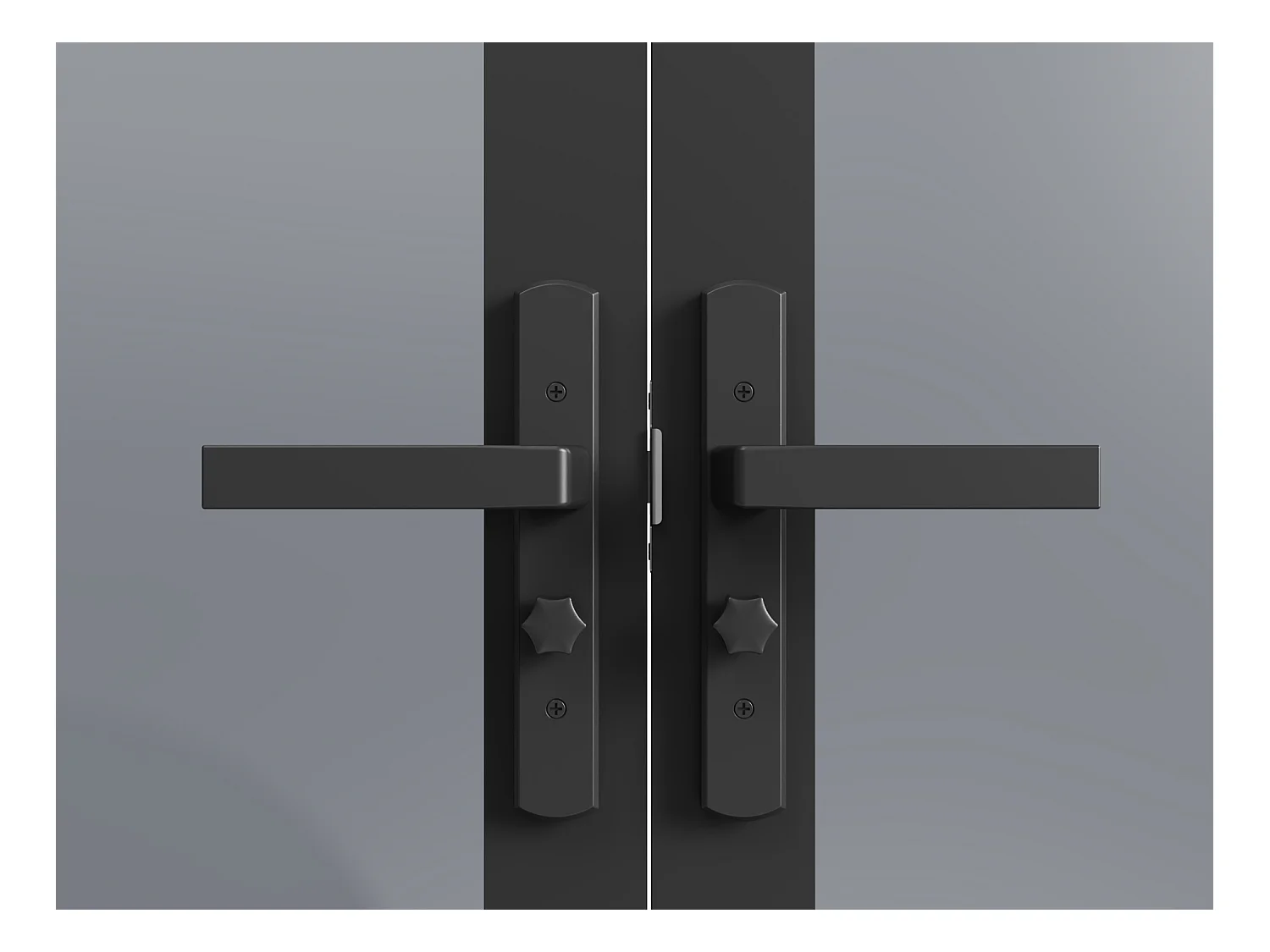 Bloc porte réversible à deux battants en aluminium et verre trempé fumé - 2 x H204 x L83 cm - Noir - MASERU