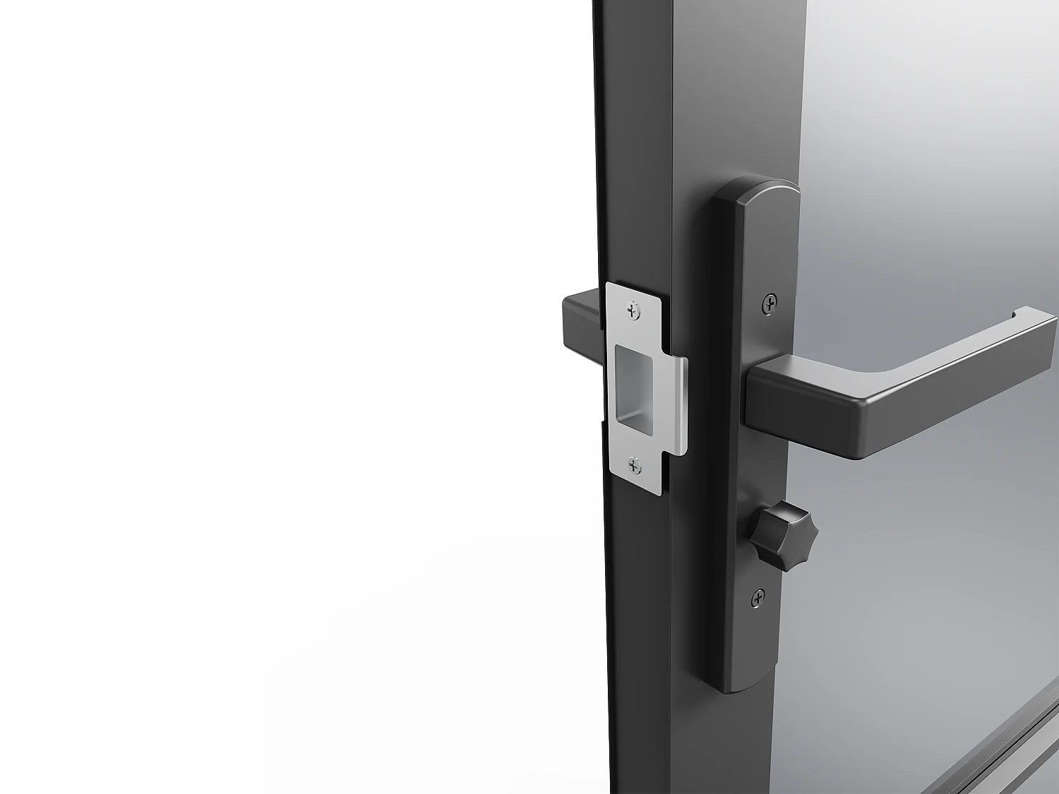 Bloc porte réversible à deux battants en aluminium et verre trempé fumé - 2 x H204 x L83 cm - Noir - MASERU