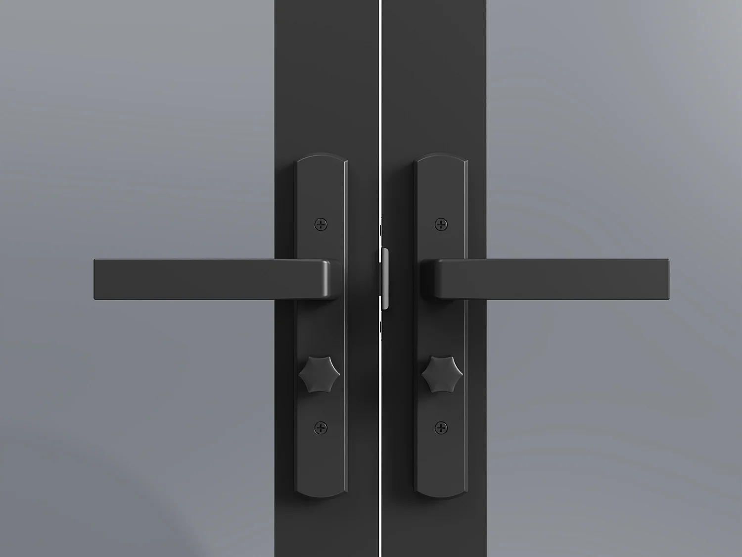 Bloc porte réversible à deux battants en aluminium et verre trempé fumé - 2 x H204 x L93 cm - Noir - MASERU