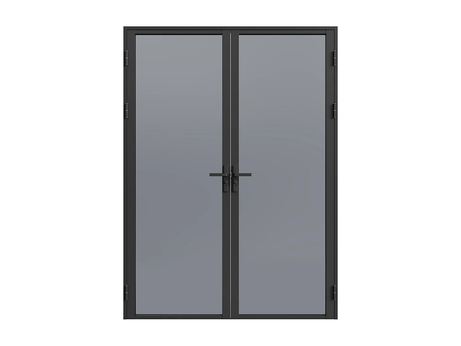 Tür-Set - zwei Flügel - wendbar - Aluminium & getöntes Sicherheitsglas - 2 x 204 x 73 cm - Schwarz - LOXTON