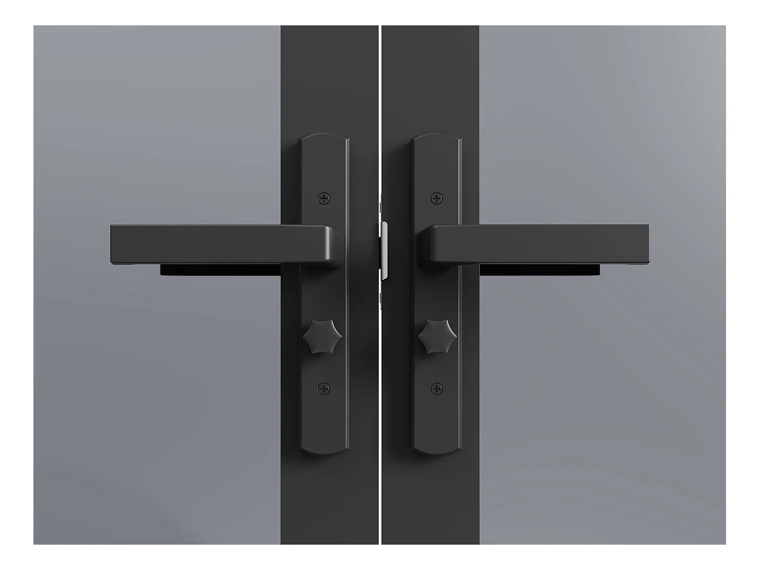 Blocco porta reversibile a due battenti in alluminio e vetro temperato fumé 2 x H204 x L83 cm Nero - LOXTON