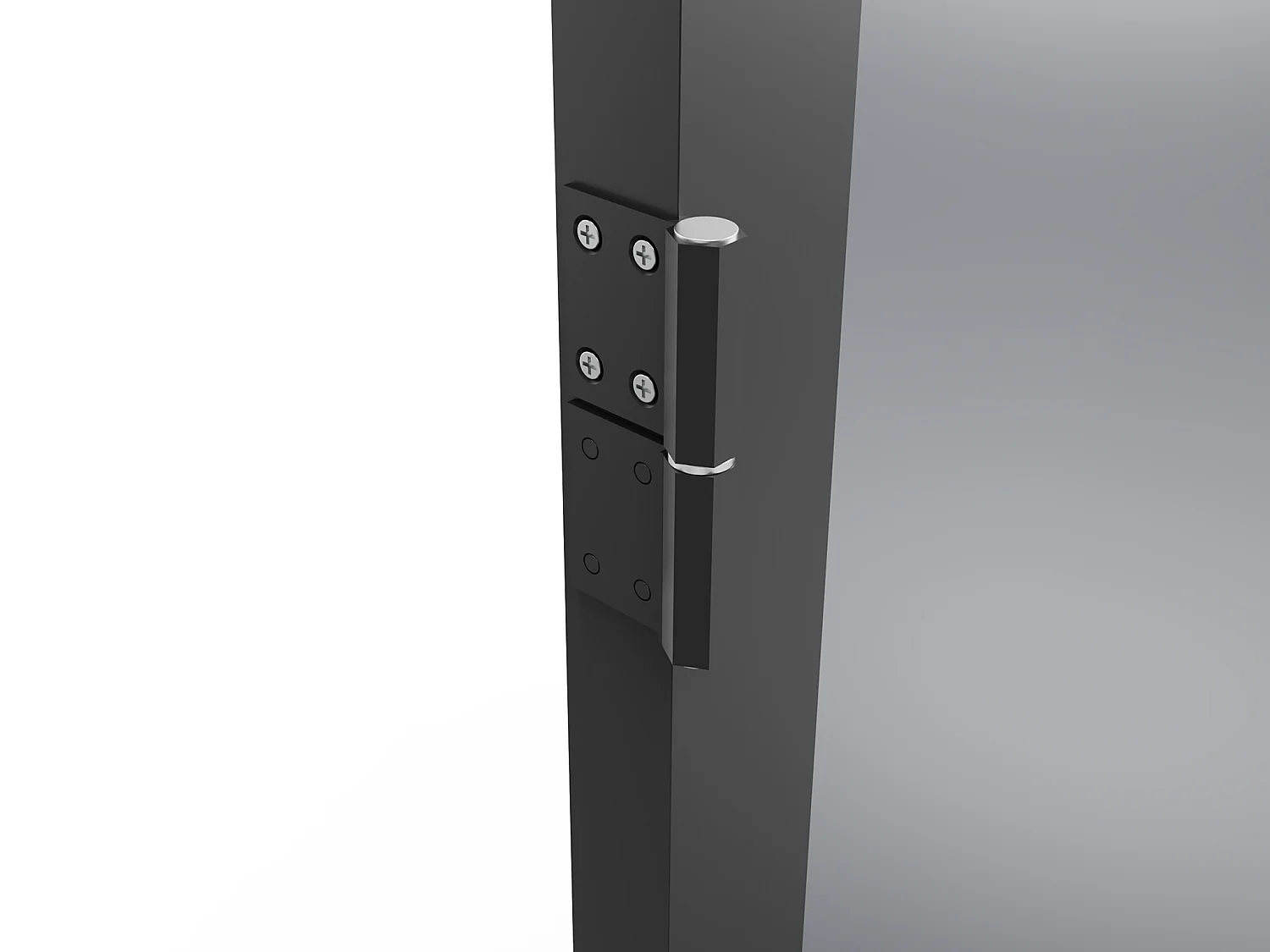 Blocco porta reversibile a due battenti in alluminio e vetro temperato fumé 2 x H204 x L93 cm Nero - LOXTON