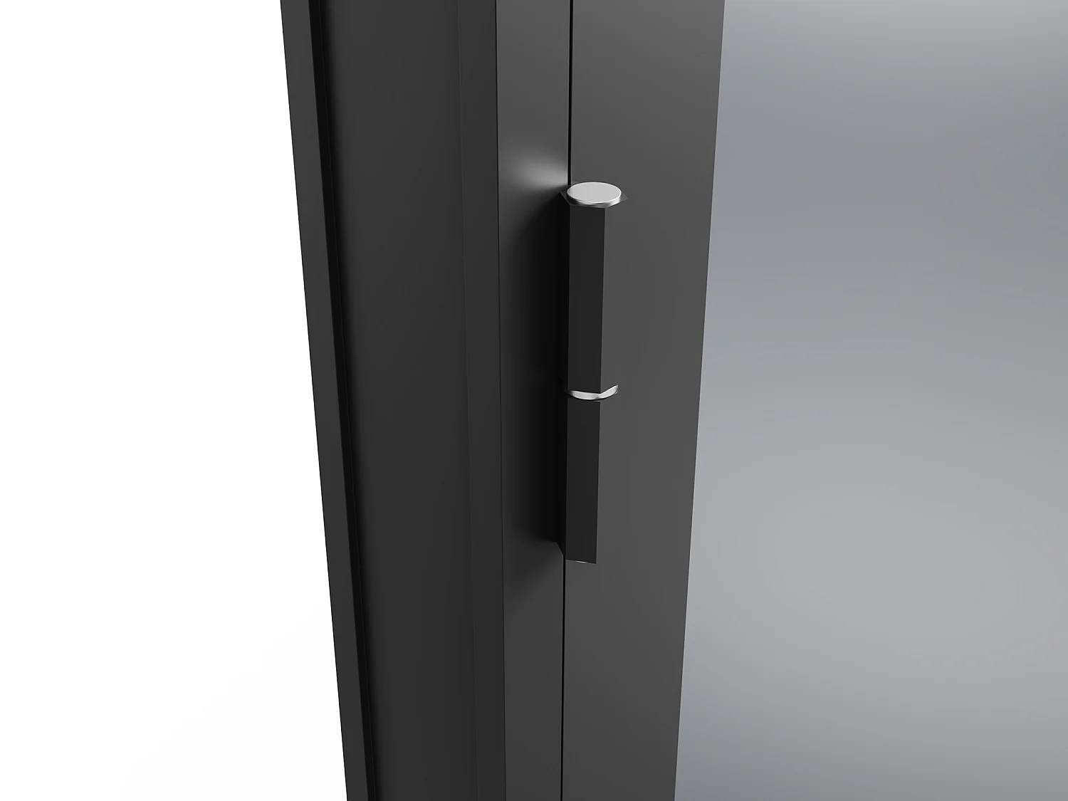 Tür-Set - zwei Flügel - wendbar - Aluminium & getöntes Sicherheitsglas - 2 x 204 x 93 cm - Schwarz - LOXTON