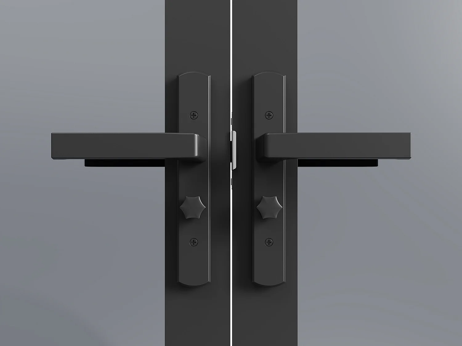 Tür-Set - zwei Flügel - wendbar - Aluminium & getöntes Sicherheitsglas - 2 x 204 x 93 cm - Schwarz - LOXTON