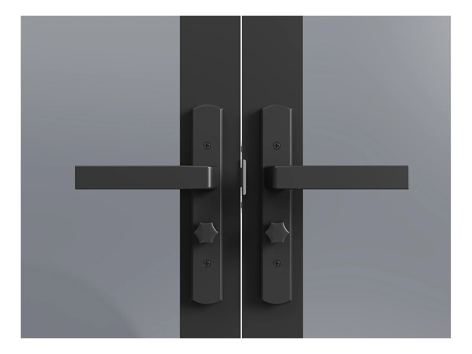 Bloc porte réversible à deux battants en aluminium et verre trempé fumé - 2 x H204 x L73 cm - Noir - SEROTO