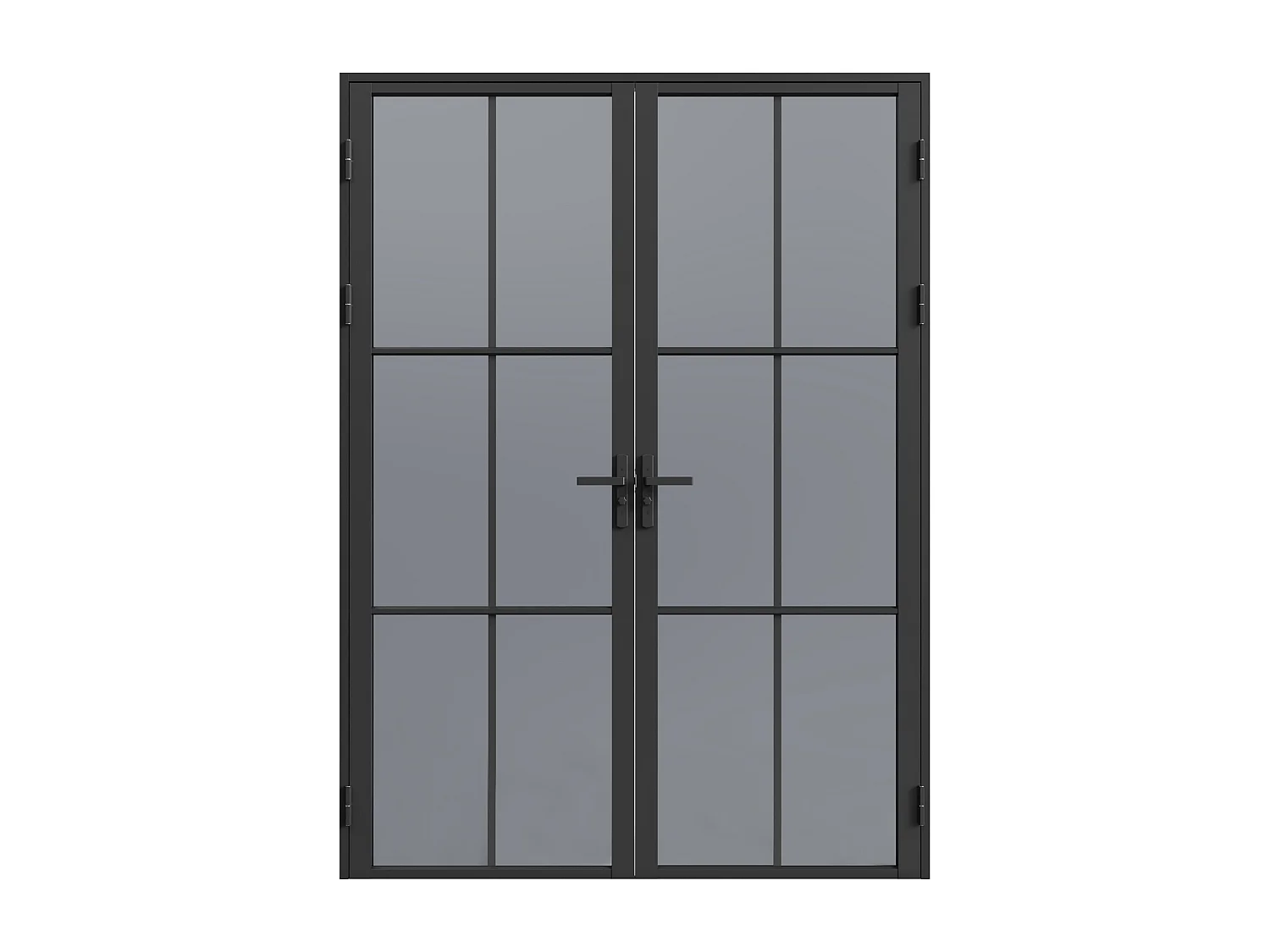 Tür-Set - zwei Flügel - wendbar - Aluminium & getöntes Sicherheitsglas - 2 x 204 x 93 cm - Schwarz - SEROTO