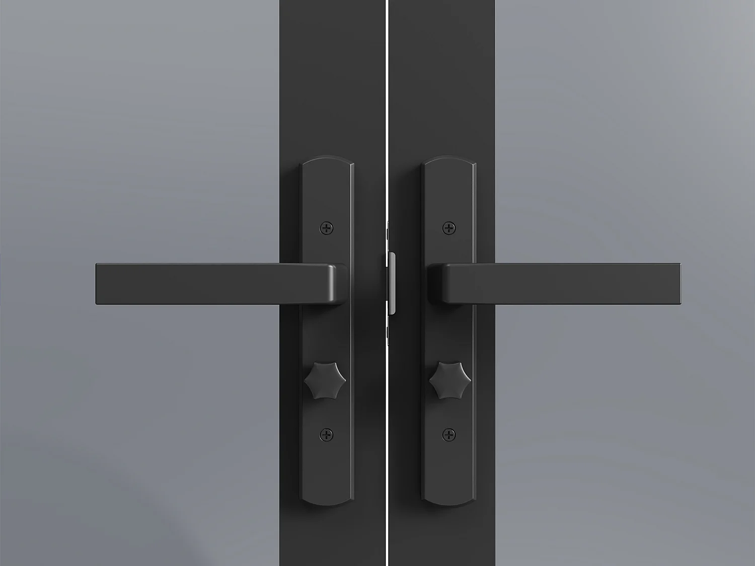 Tür-Set - zwei Flügel - wendbar - Aluminium & getöntes Sicherheitsglas - 2 x 204 x 93 cm - Schwarz - SEROTO