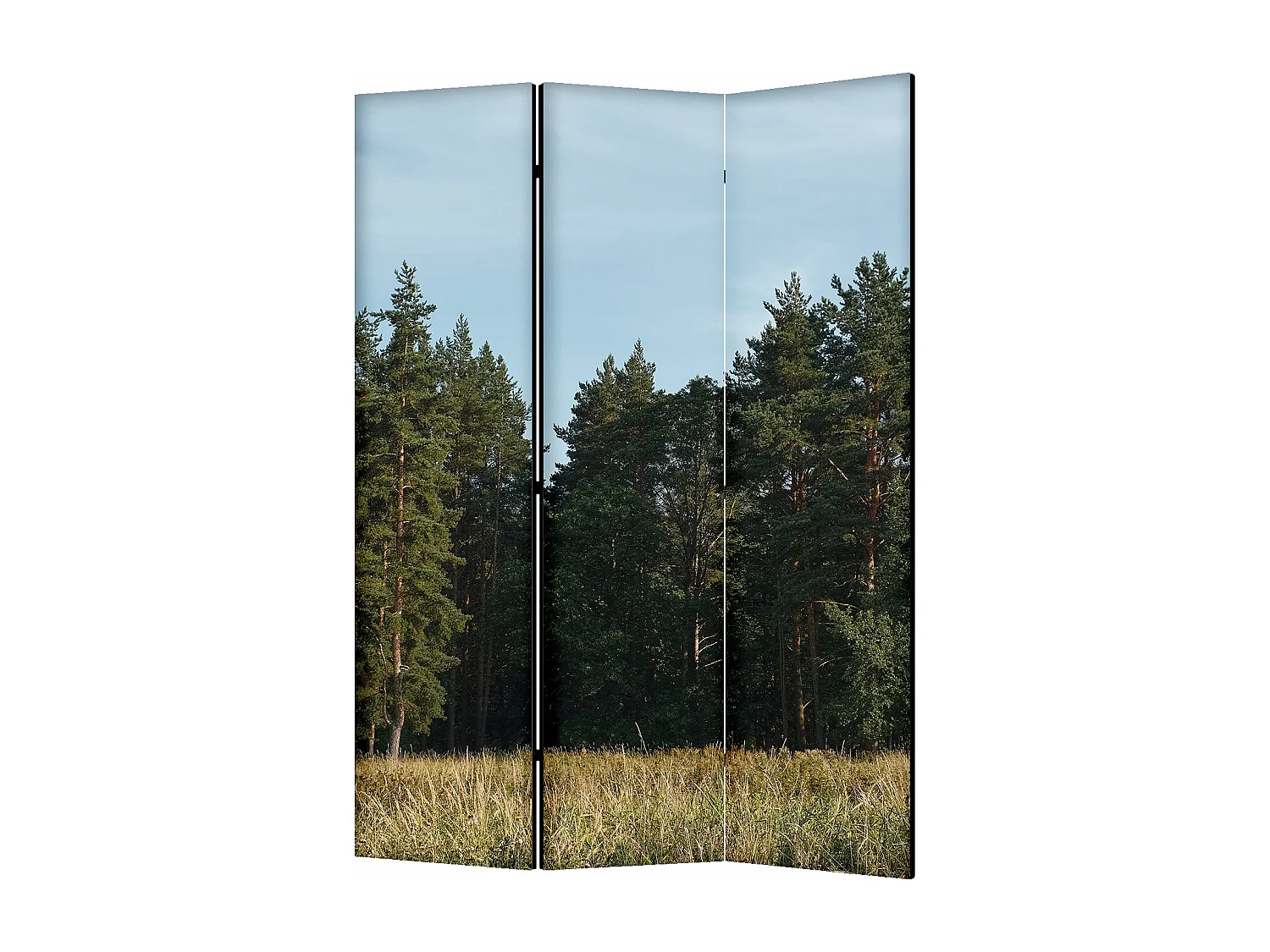 Raumteiler Foto Paravent Textur 135x172 cm beidseitig auf Vlies-Leinwand Bedruckt Trennwand Spanische Wand Sichtschutz Raumtrenner Design Ornament