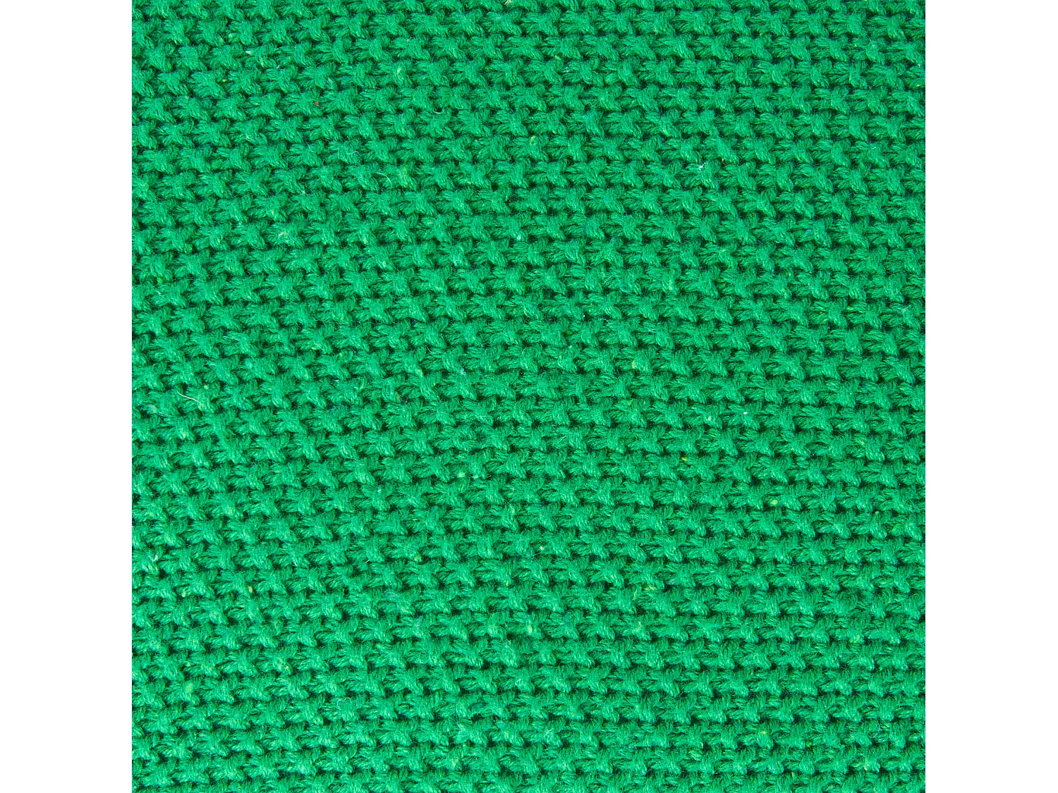 Lot de 2 coussins décoratifs DINOS Coton 45 x 45 cm Vert Dinosaure