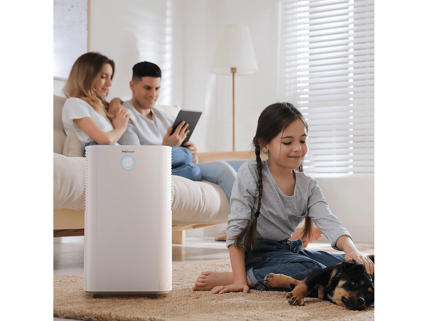 Pro Breeze Déshumidificateur compresseur 12 ljour avec capteur d'humidité auto, séchage du linge