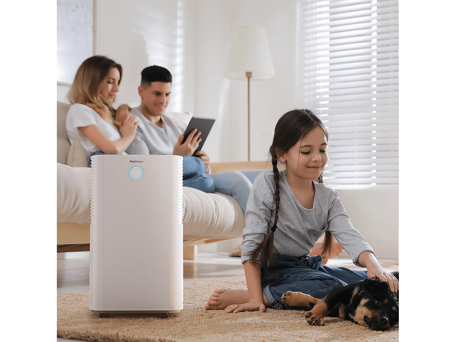 Pro Breeze Deshumidificador con compresor 12L/día con sensor de humedad automático y secado de ropa