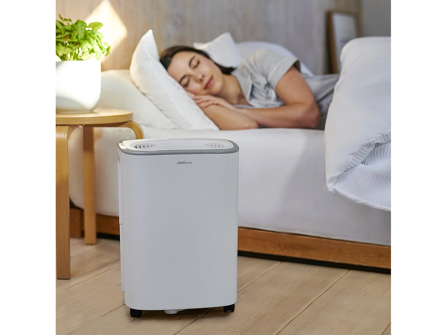 Pro Breeze Déshumidificateur économe en énergie 12 l avec réservoir d'eau de 2,5 l