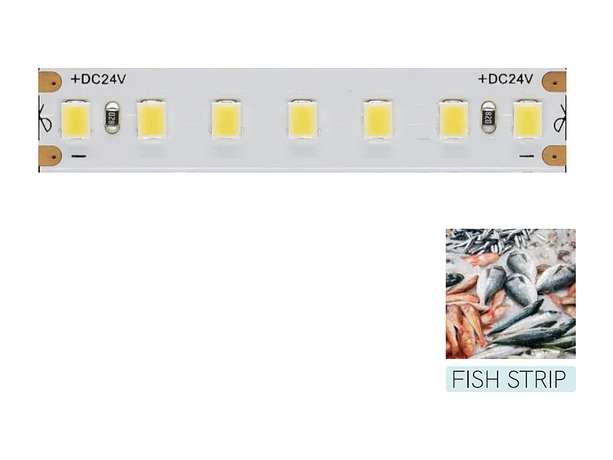 Beneito Faure -  LED-Streifen zur Beleuchtung der Fischfuttertheke – 5 m Spule 14,4 W/M 95 LM/W IP20 11.600 K