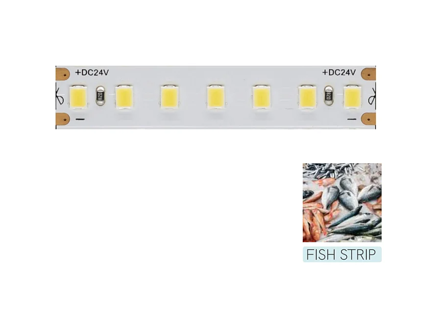 Beneito Faure -  LED-Streifen zur Beleuchtung der Fischfuttertheke – 5 m Spule 14,4 W/M 95 LM/W IP20 11.600 K