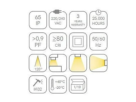 ZIBOR ovale wasserdichte LED-Deckenleuchte IP65 12W