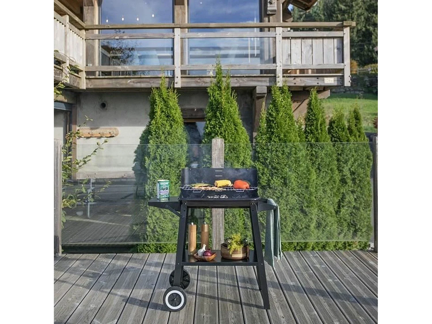 Livoo Barbecue à charbon 48.5 x 28.8cm - DOC328