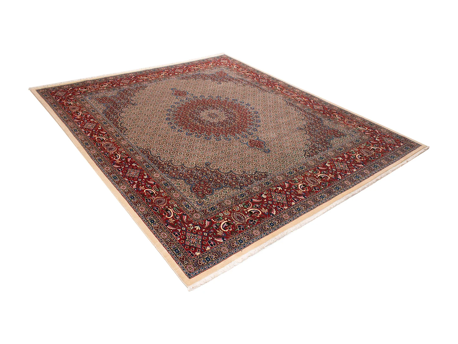 Tapis persan Moud | 247 x 282 cm