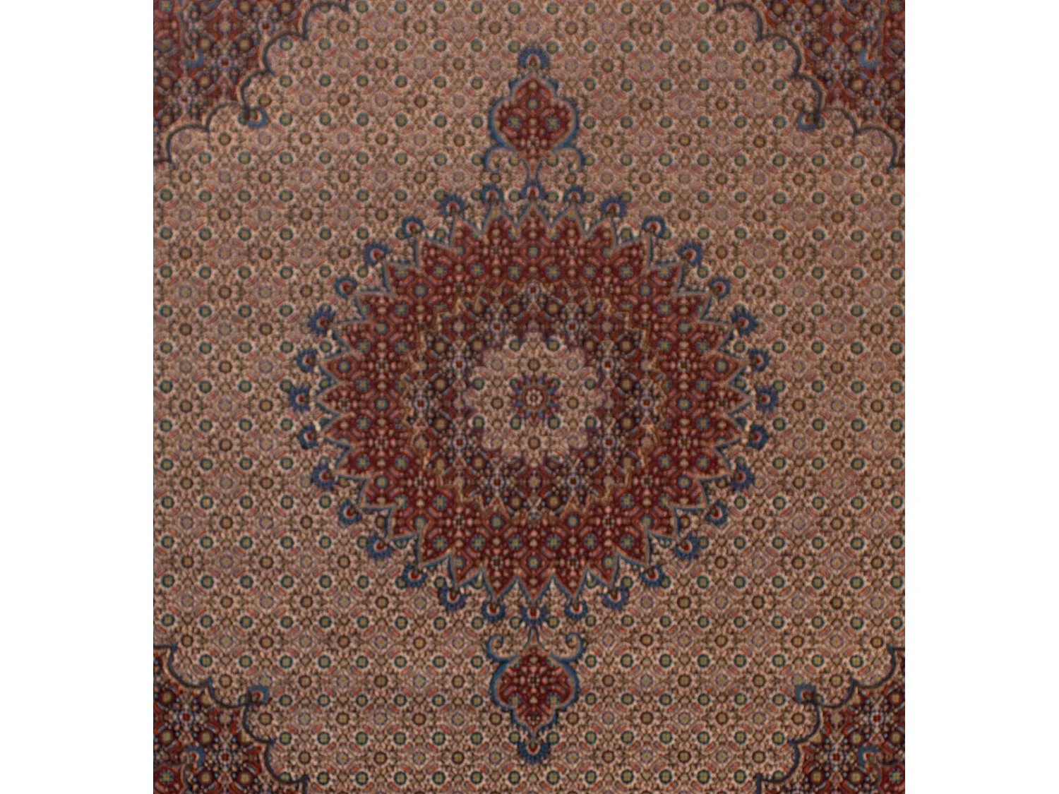 Tapis persan Moud | 247 x 282 cm