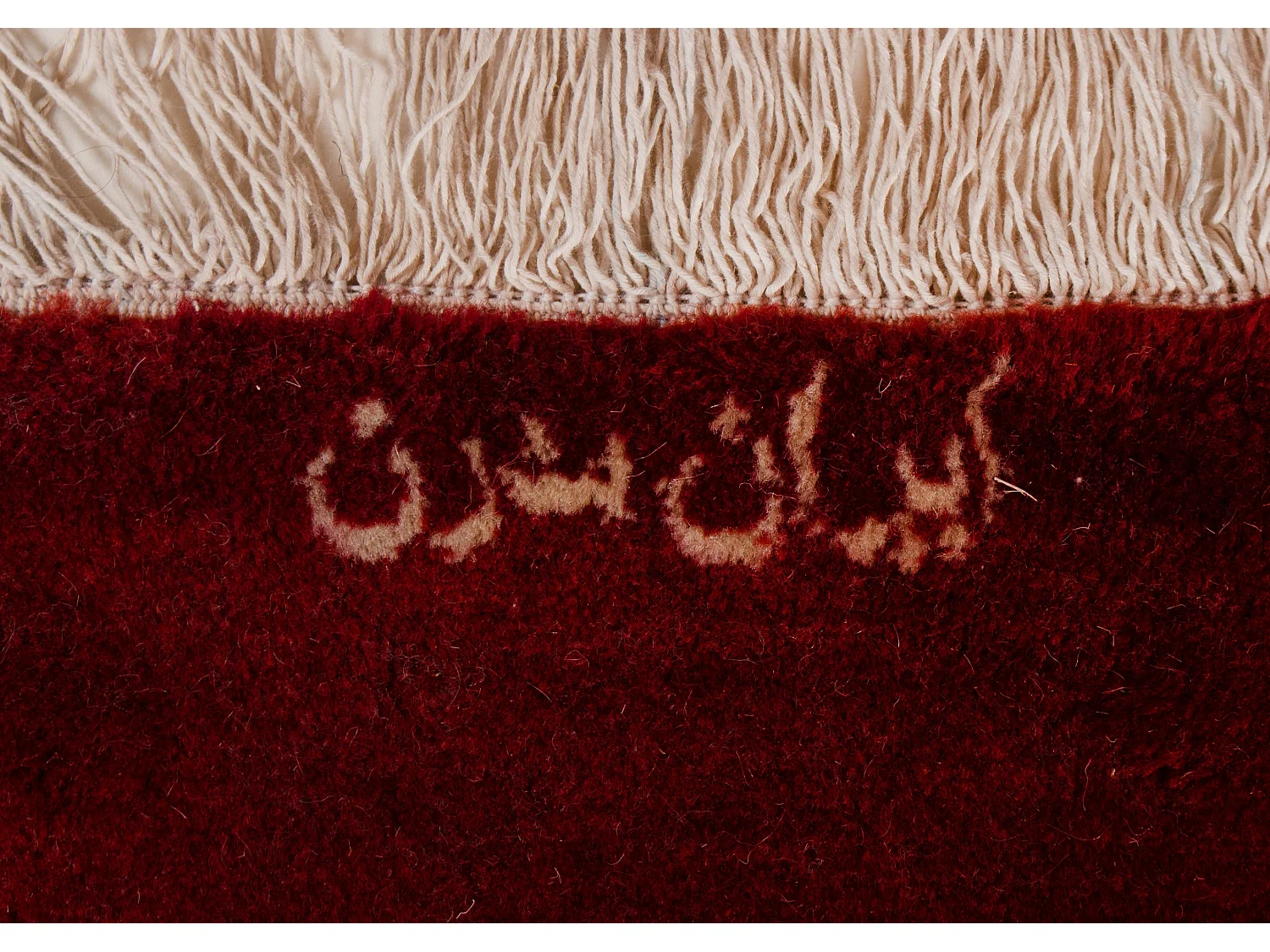 Moderner Teppich | 248 x 342 cm