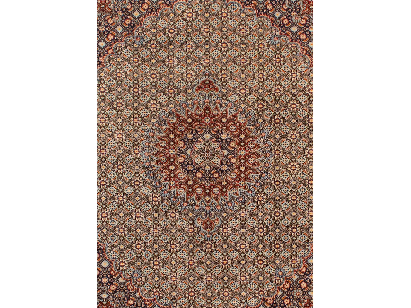 Tapete persa Moud | 166x232cm