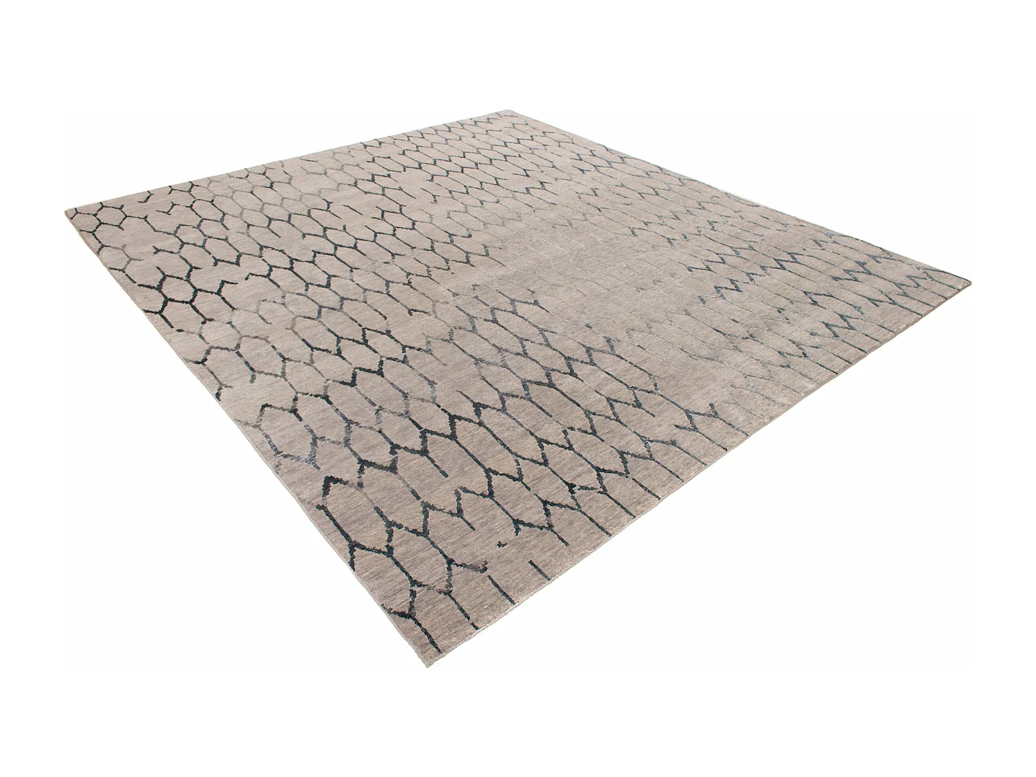 Tapis moderne | 254 x 289 cm