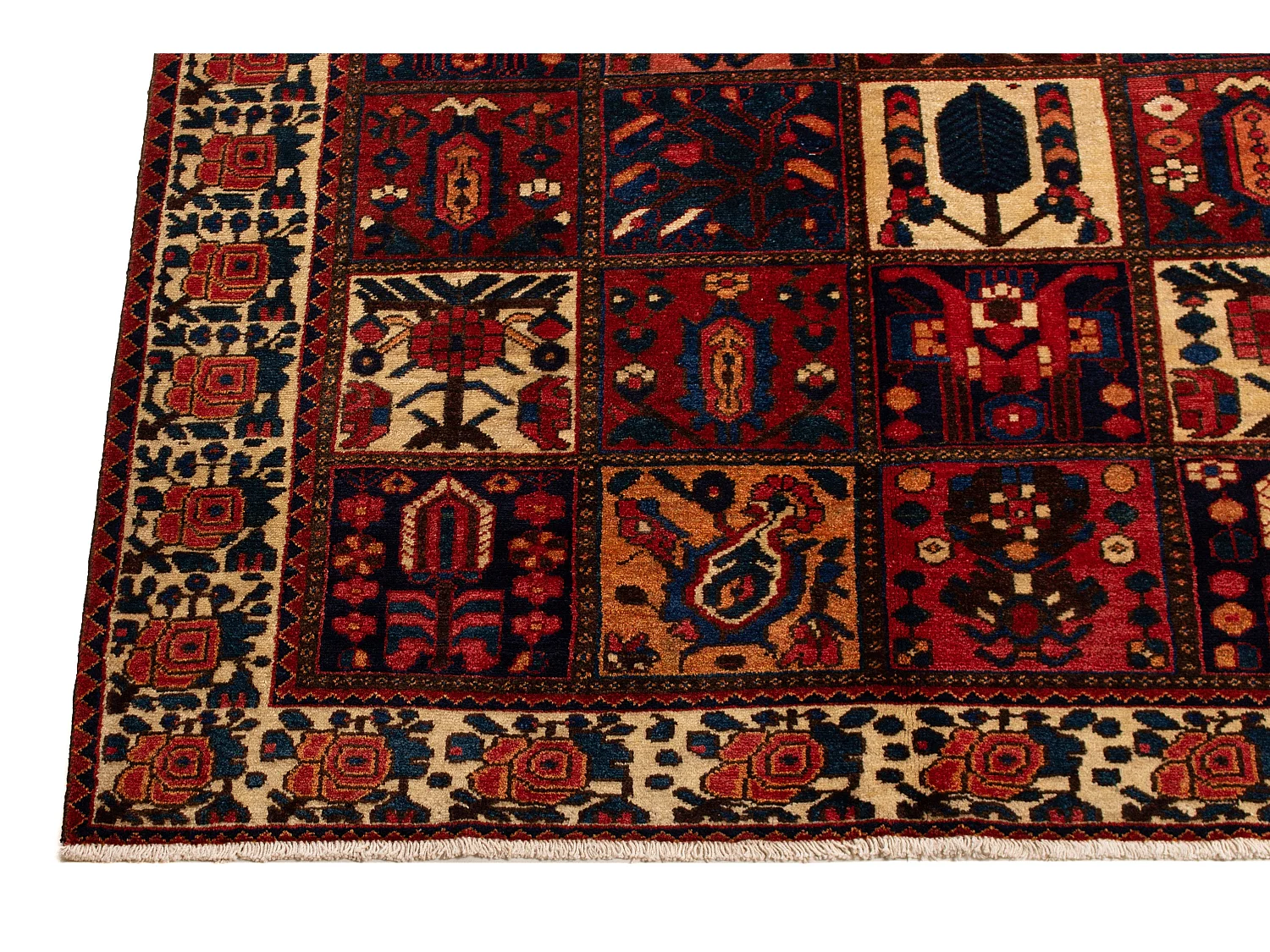 Tapis persan Bakhtiar | 167 x 303 cm
