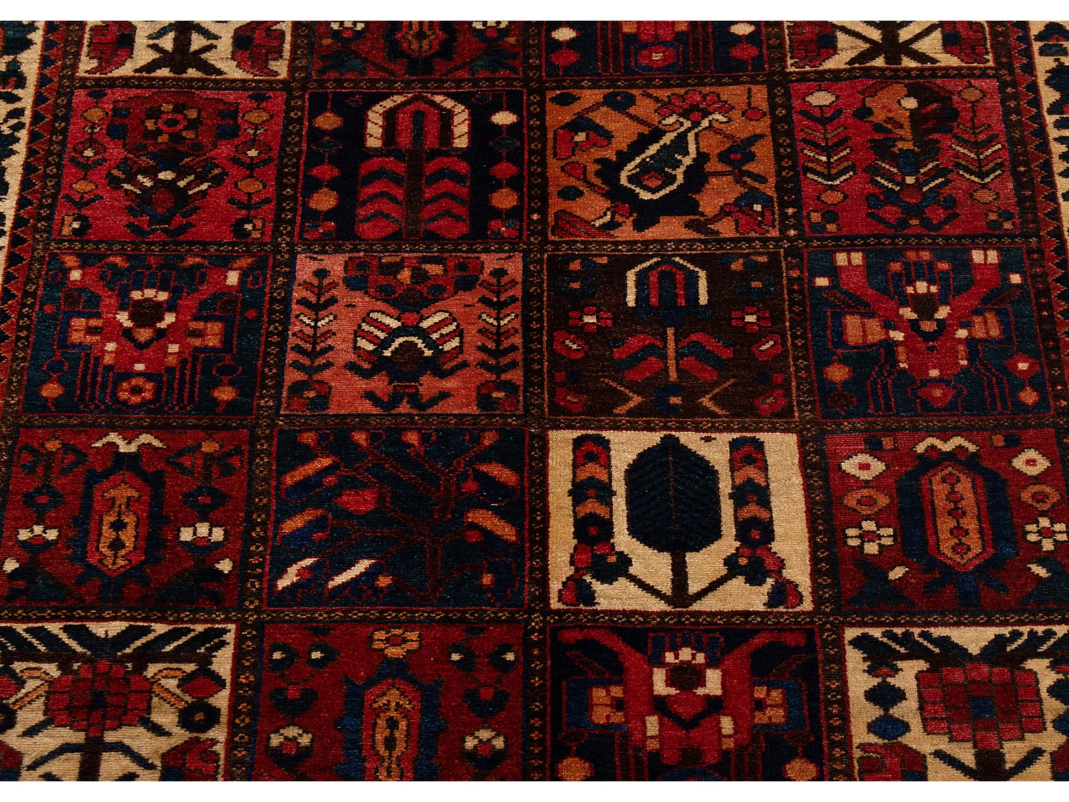 Tapis persan Bakhtiar | 167 x 303 cm