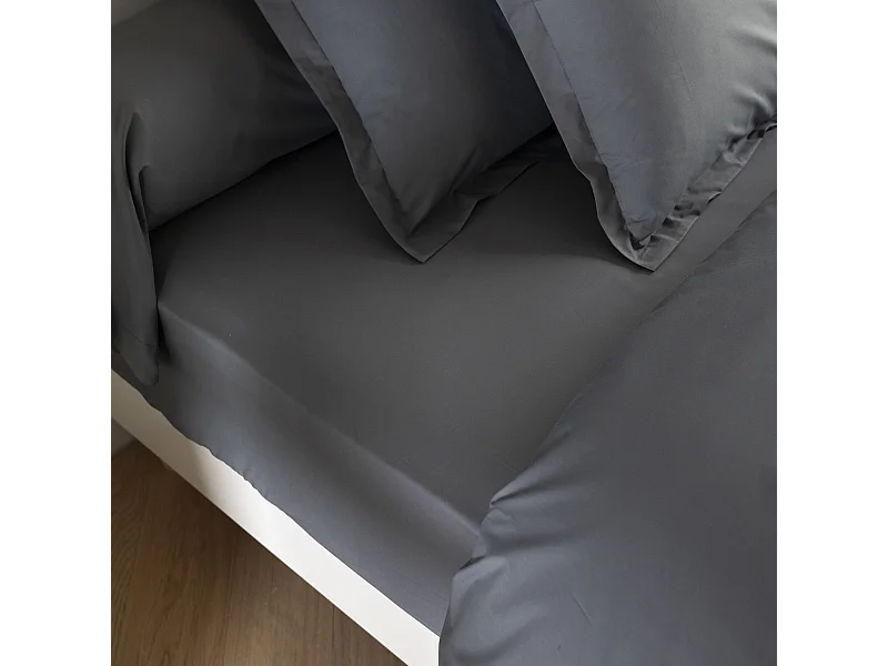 Drap housse coton percale bonnet 30 cm Anthracite 200x200  - SOMEO - MORPHEE