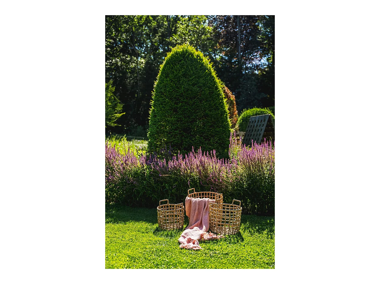 De S'il Vous Plaid - Zalm Roze