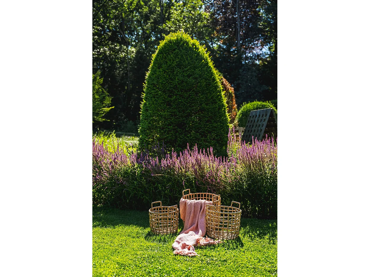 Le S'il Vous Plaid - Rose Saumon