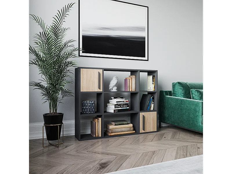 Randall Bibliothèque Rangement avec 2 Armoires et 7 Niches | Dos nu (Anthracite et Chêne)