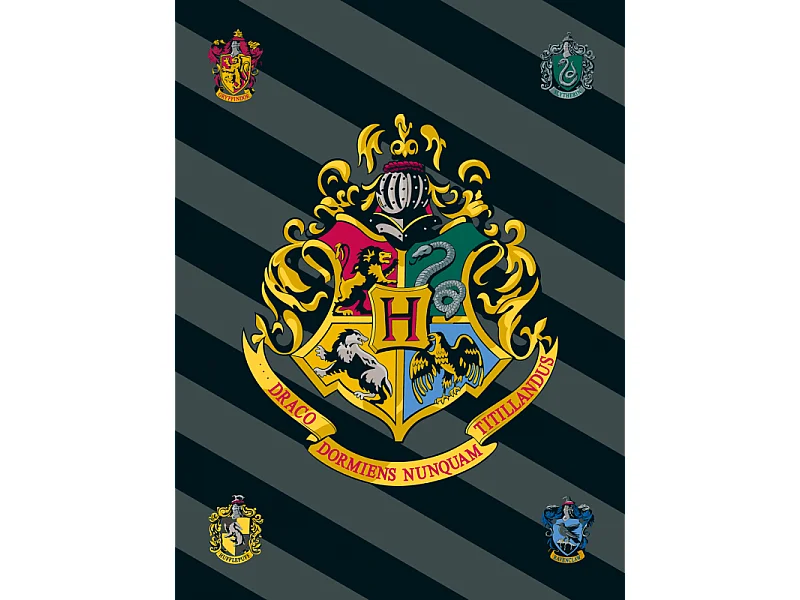 Harry Potter - Couverture polaire "4 maisons" - 100 x 150 cm