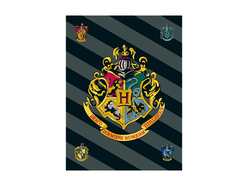 Harry Potter - Couverture polaire "4 maisons" - 100 x 150 cm