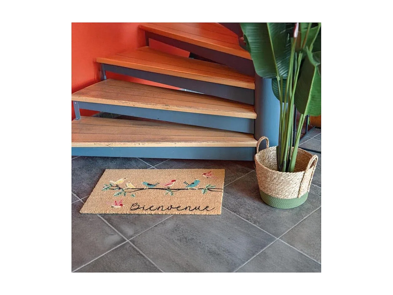 Paillasson coco intérieur extérieur 75 x 45 cm Bienvenue oiseaux
