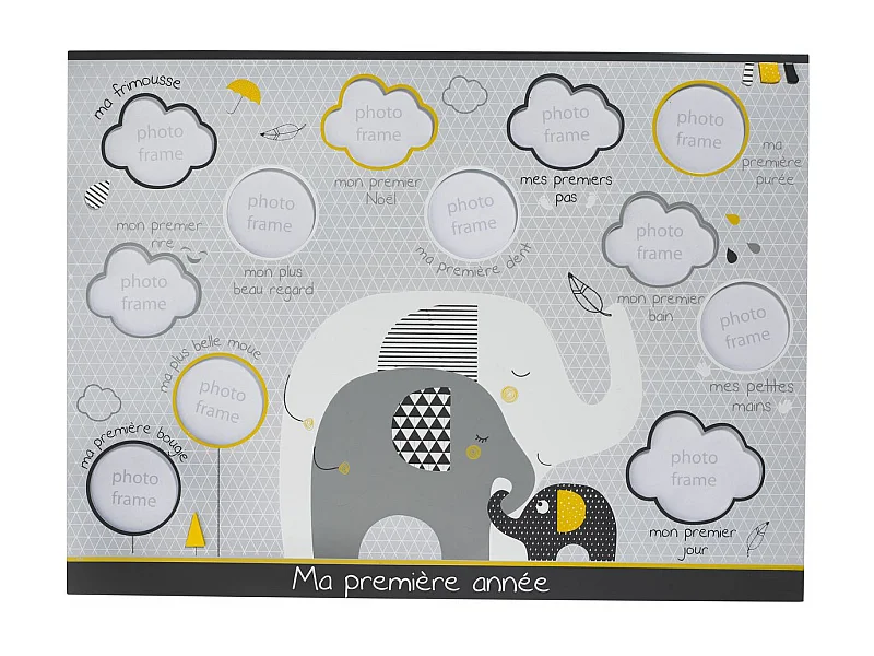 Pell-mell 12 fotos elefantes