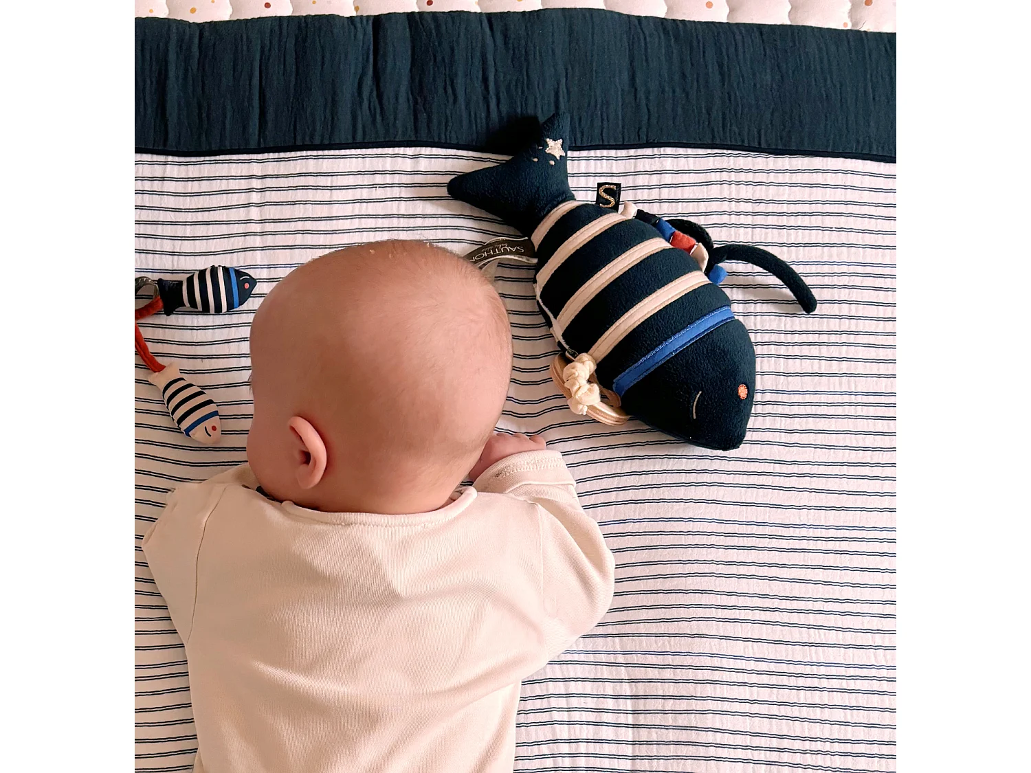 Mini pez musical de terciopelo