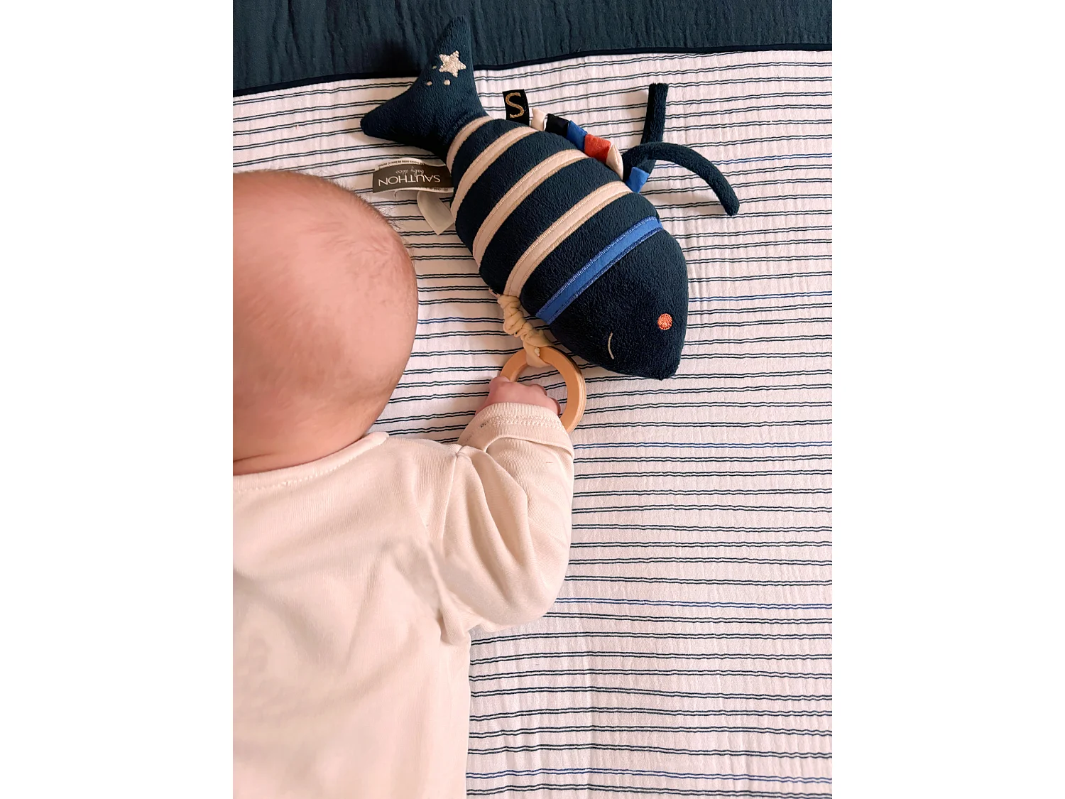 Mini pez musical de terciopelo