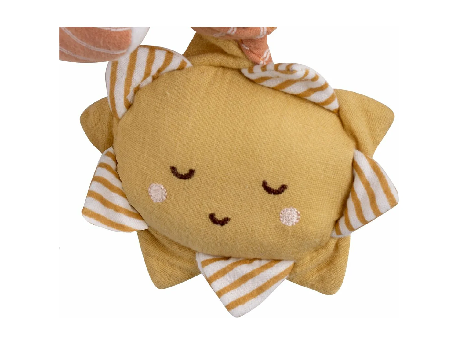 Spirale di attività in velluto