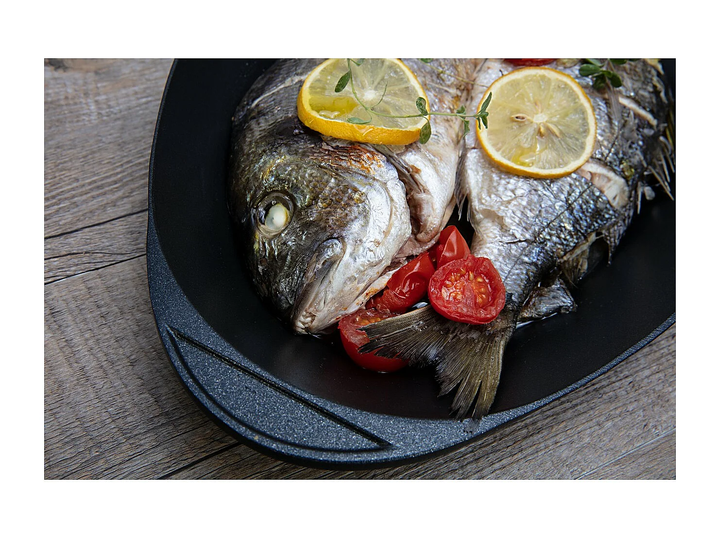 Vispan Explora, Zwart, 46x26,5x6 cm, Risolì