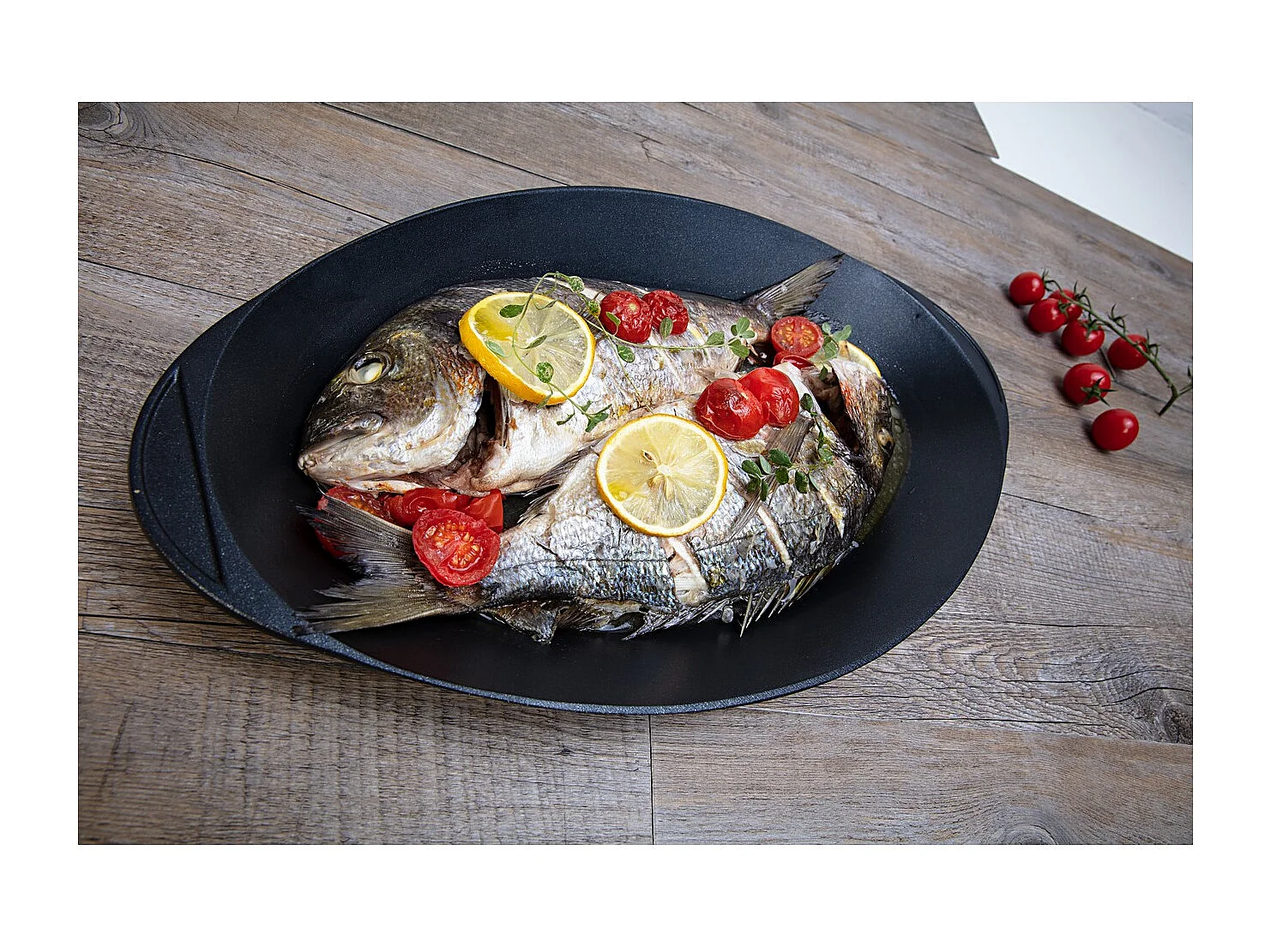 Miska do Ryb Explora, Czarny, 46x26,5x6 cm, Risolì