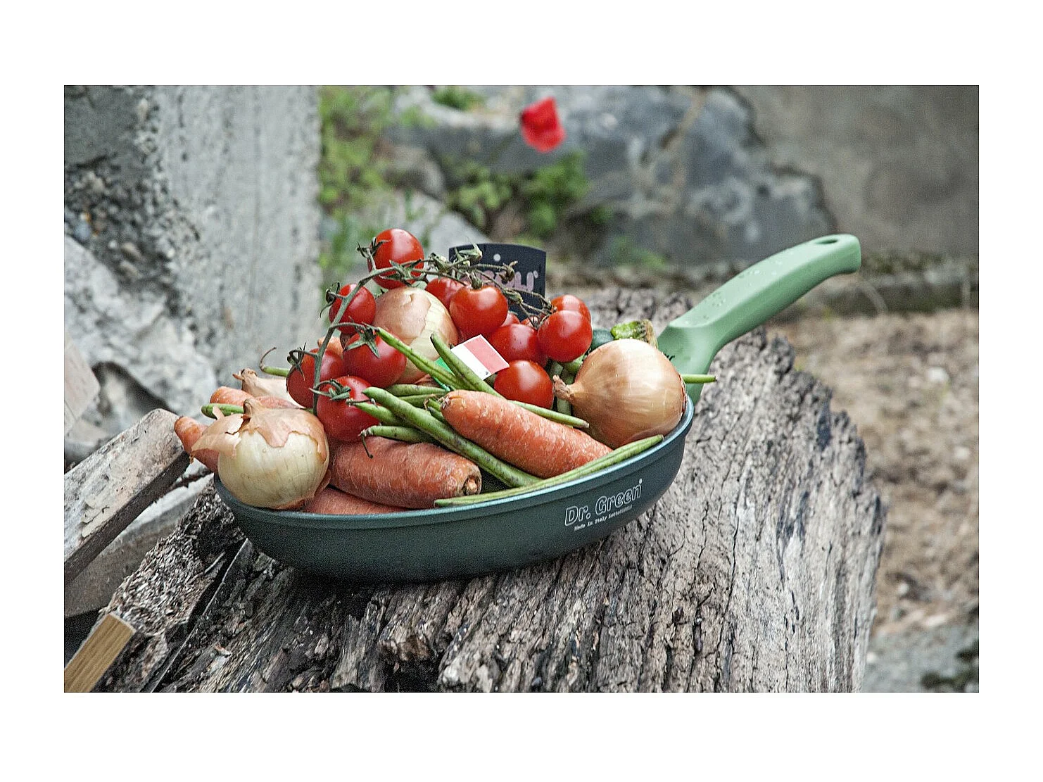 Poêle à Frire Basse Dr. Green, Vert, 24x24x4,5 cm, Risolì