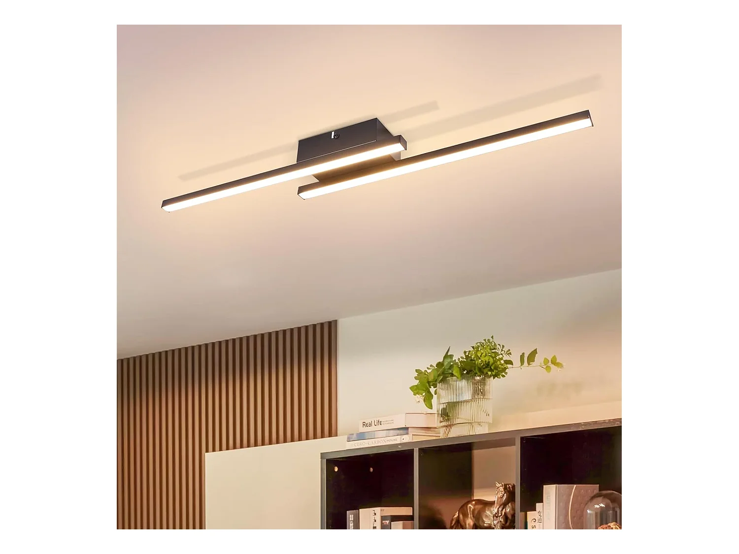 NETTLIFE Plafondlamp LED - 2-Lichts - zwart - 3000K Warm Wit Licht - Metaal en PC - Modern Plafondverlichting - voor Woonkamer | Slaafkamer | Gang - 12W